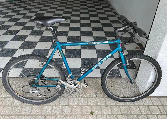 „am Alten Eifelhaus“ Lejlighed *